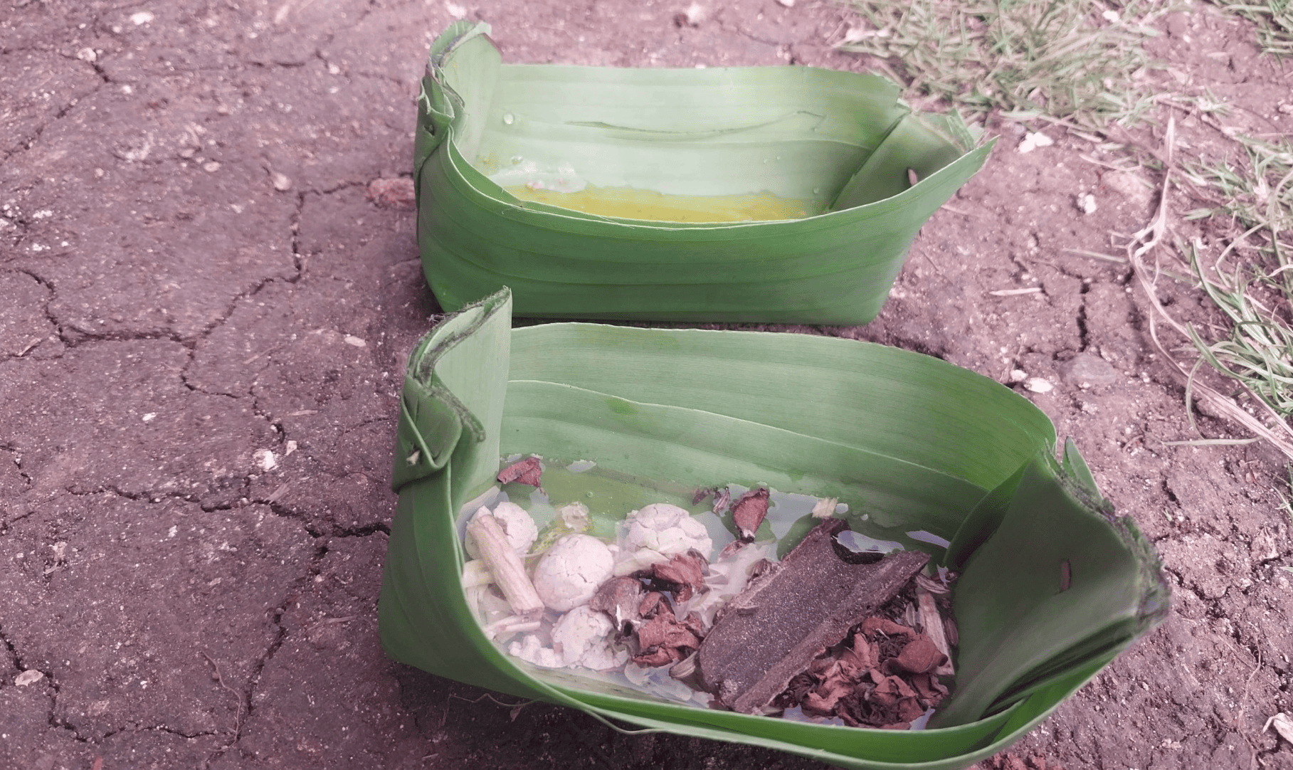 Parem untuk Mbok Sri, Wujud Kasih Sayang Among Tani Gunungkidul kepada Sosok “Penjaga” Hasil Bumi
