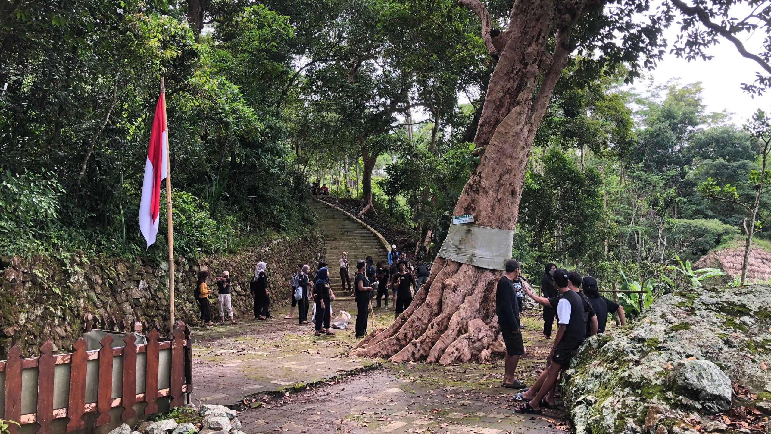 Aktivitas menanam pohon di Gunung Genthong Gunungkidul
